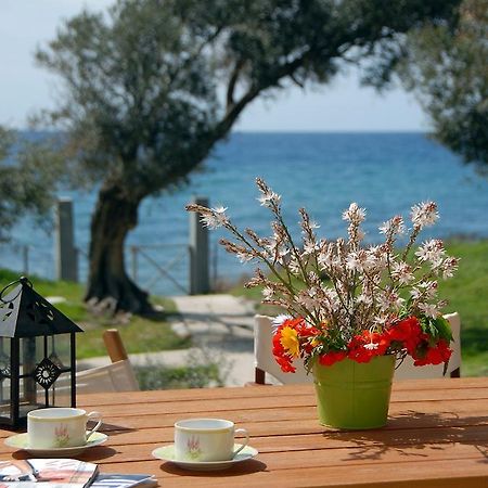 Melinda Holiday House Plomari Oda fotoğraf