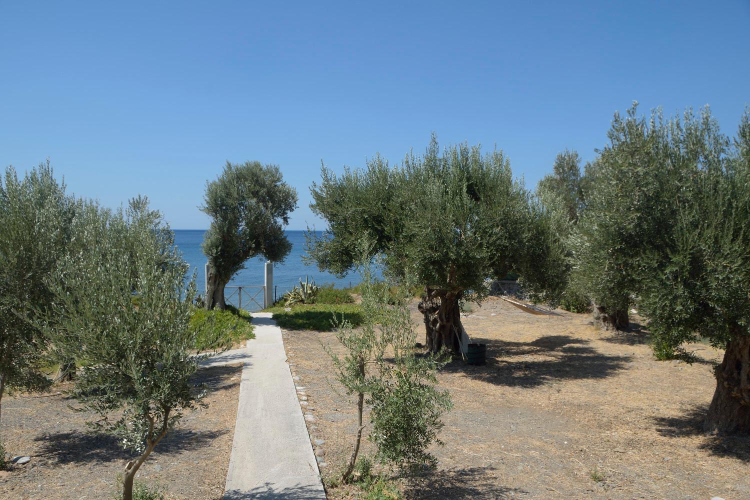 Melinda Holiday House Plomari Dış mekan fotoğraf